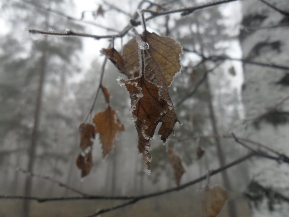 Photograph by Анна Кремешкова