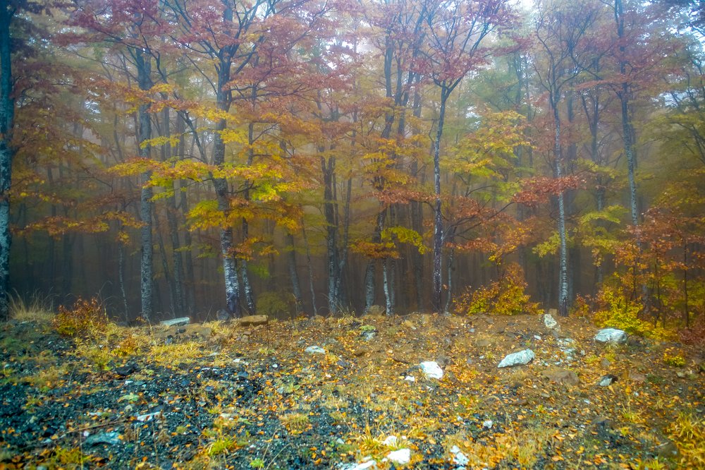 Photograph by Nikos Karatolos