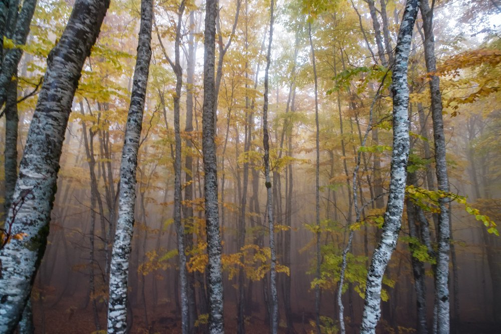 Photograph by Nikos Karatolos