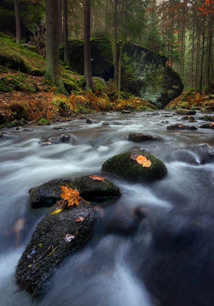 Фотография автора Martin Morávek