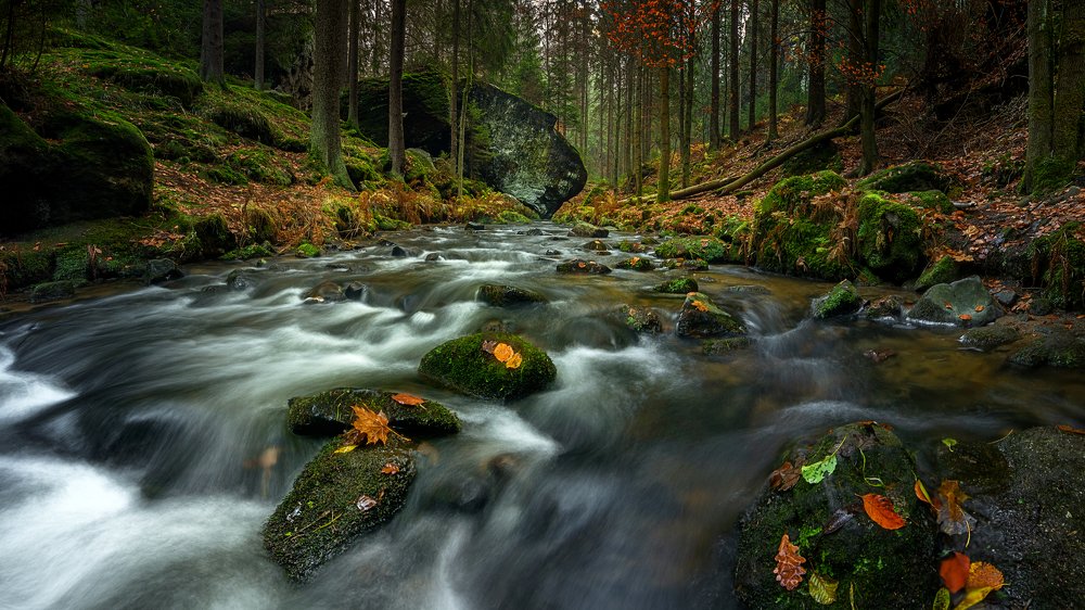 Фотография автора Martin Morávek