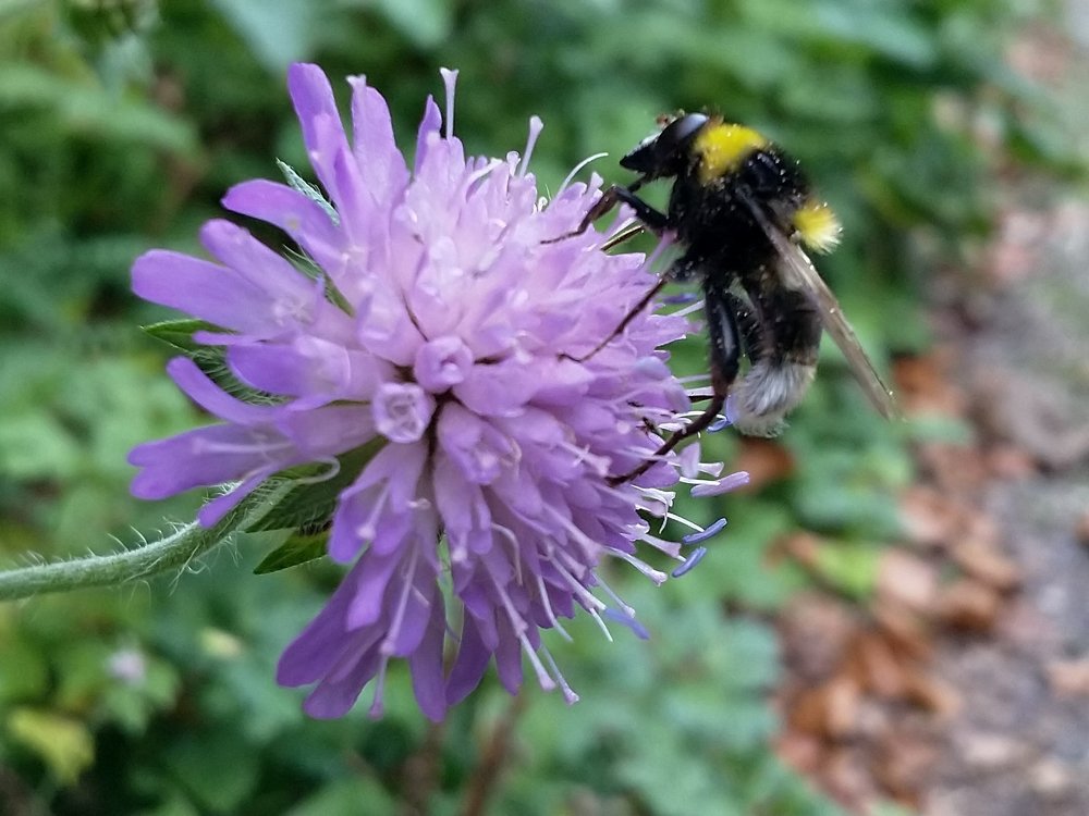 Photograph by Заира