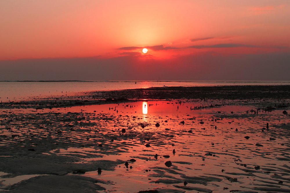 Фотография автора M S