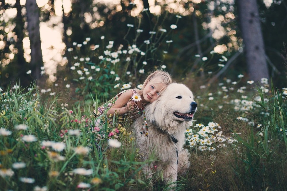 Photograph by Настасья Сторчак