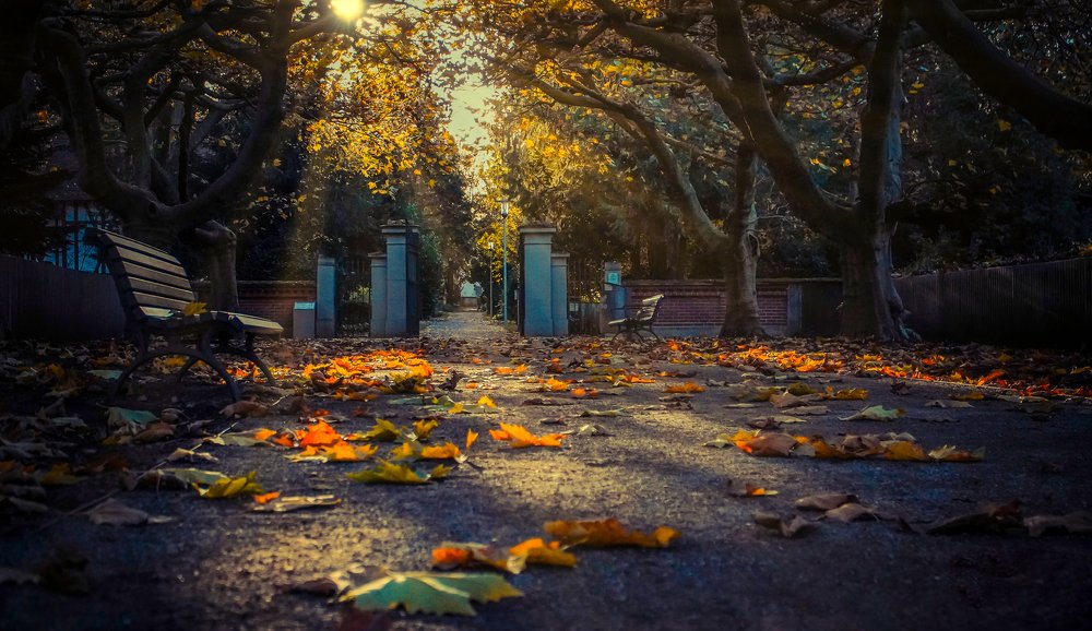 Photograph by Klaus Tesching