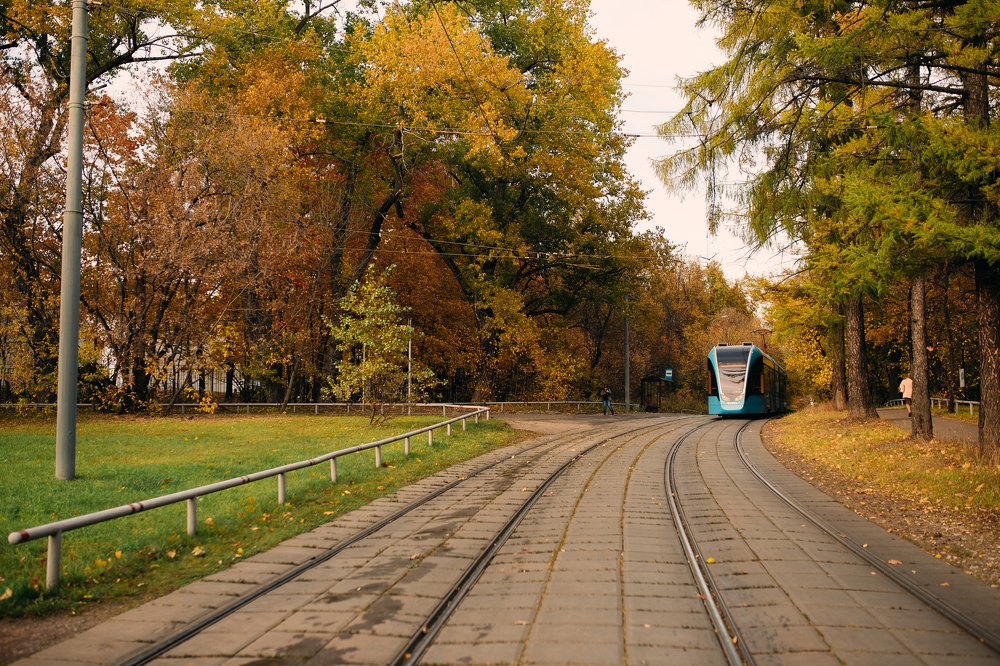 Photograph by Настасья Сторчак