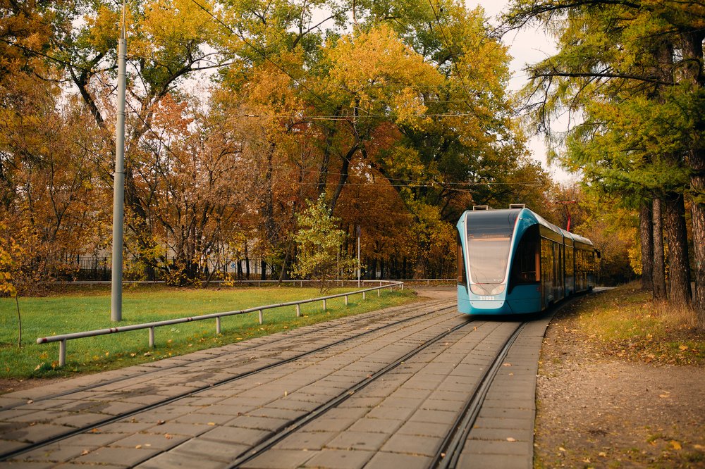 Photograph by Настасья Сторчак