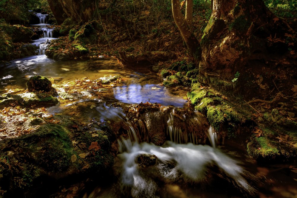 Photograph by Klaus Tesching