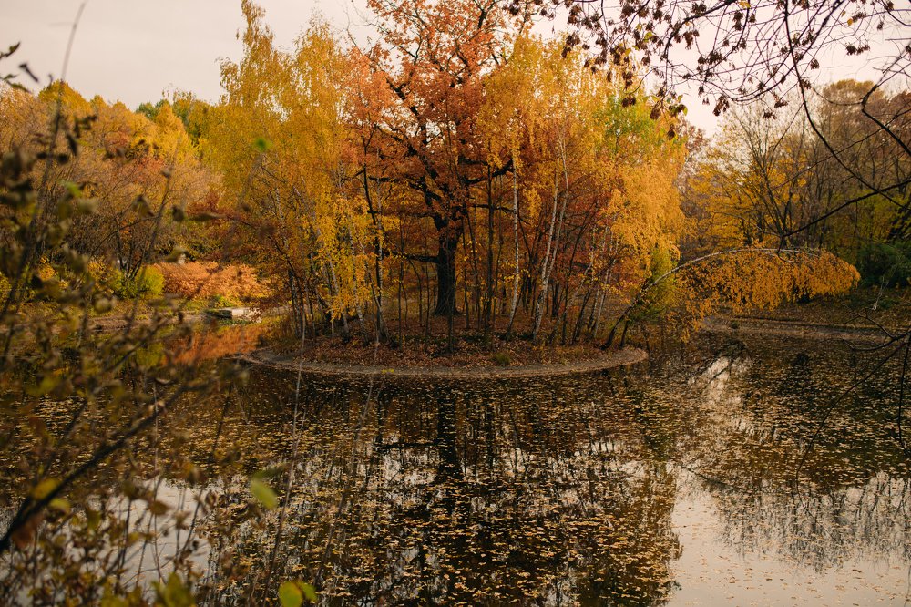 Photograph by Настасья Сторчак