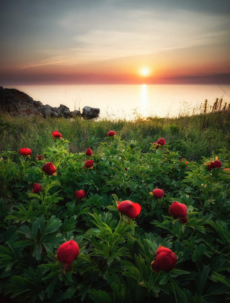 Photograph by Костадин Маджаров