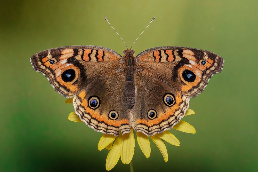 Photograph by Eduardo Di Fiore