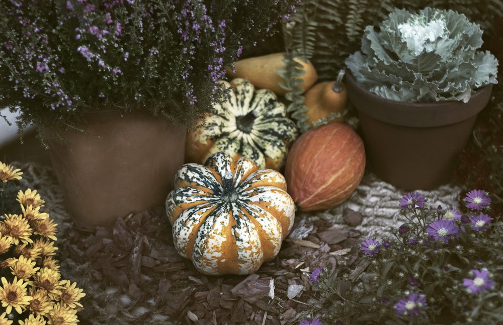 Photograph by Эльвира Полудницына