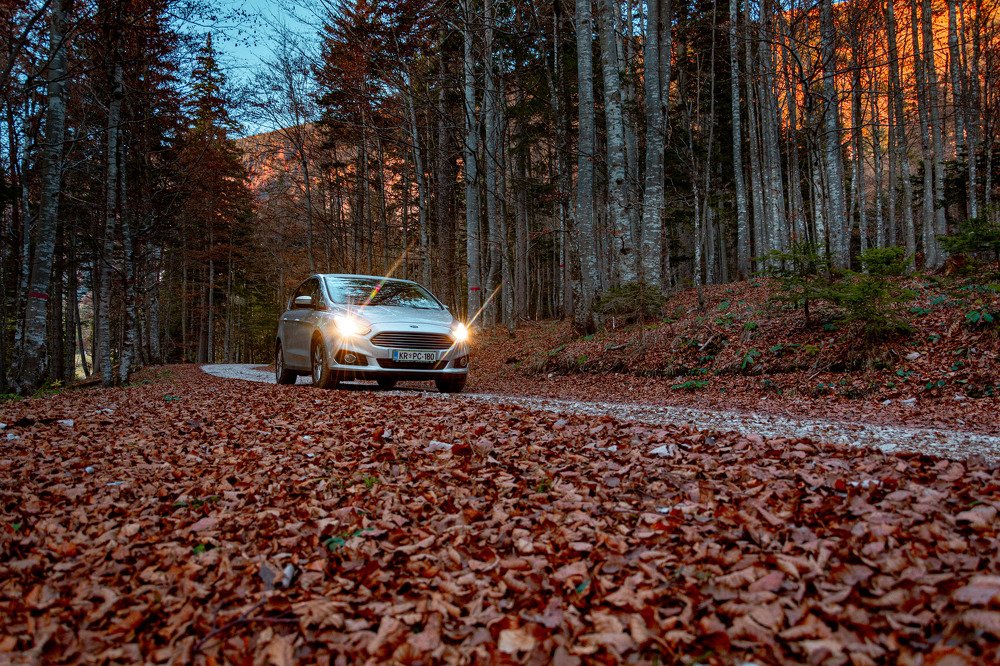 Photograph by Bine Mekina