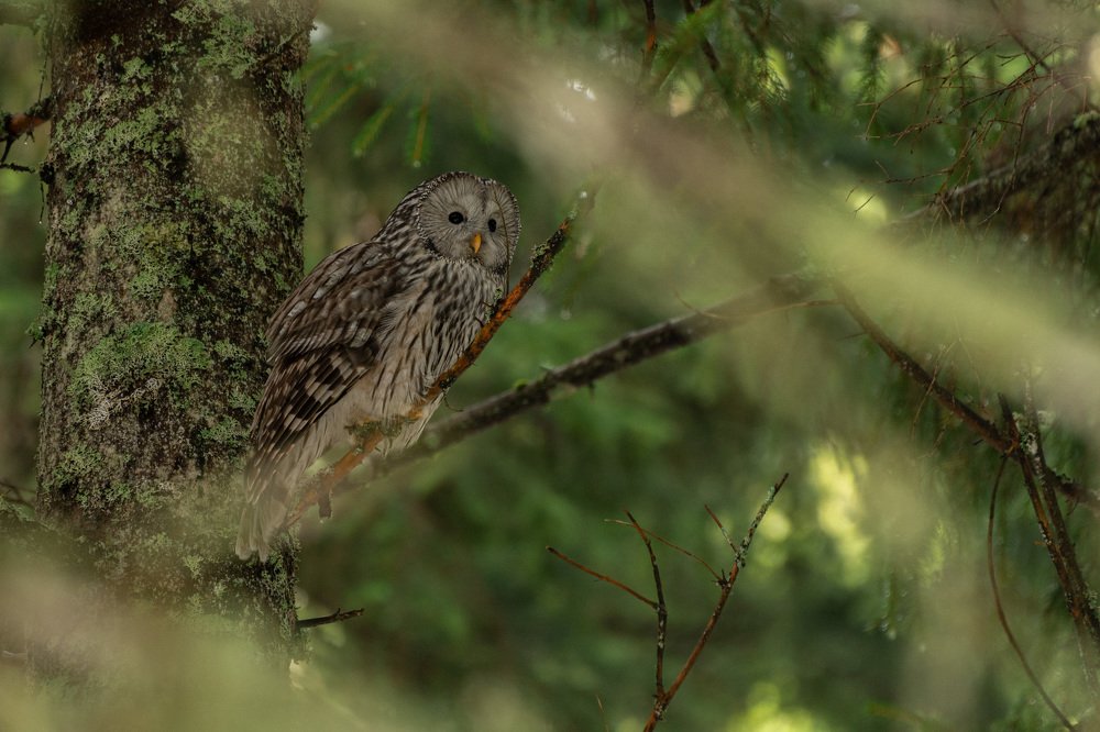 Photograph by Bine Mekina