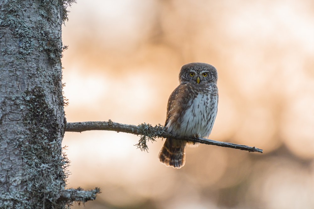 Photograph by Bine Mekina