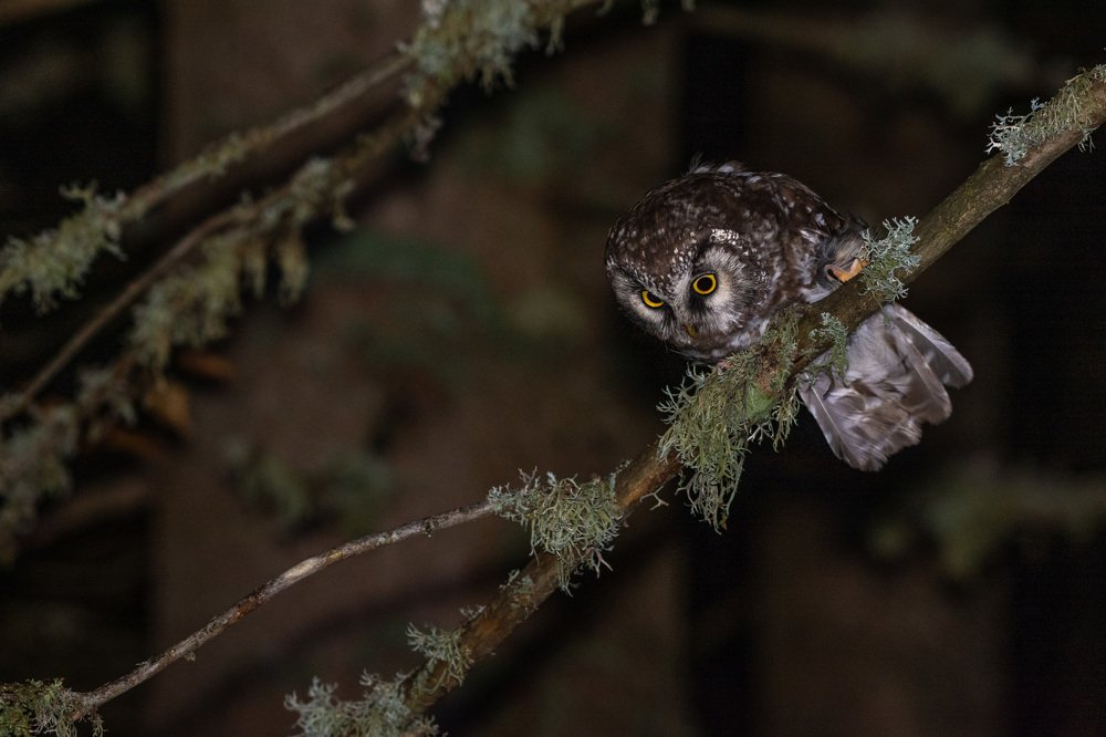 Photograph by Bine Mekina