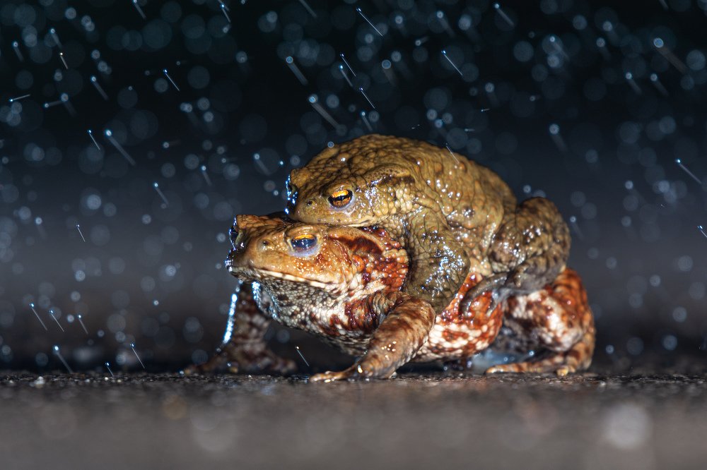 Photograph by Bine Mekina