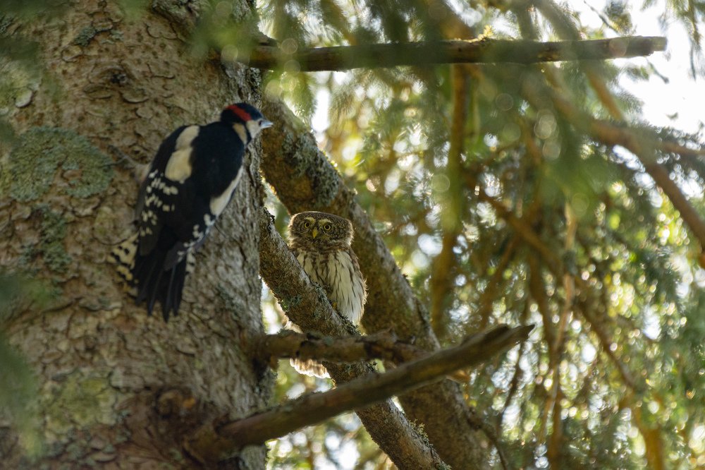 Photograph by Bine Mekina