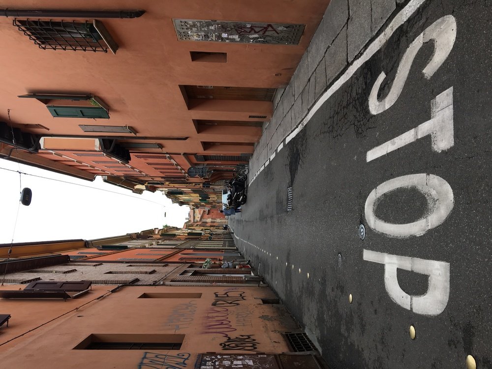 Photograph by Дмитрий Русев