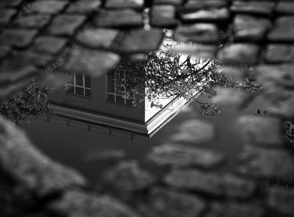 Photograph by Андрей Анисимов