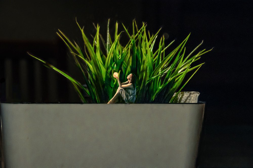 Photograph by Виталий Каргопольцев