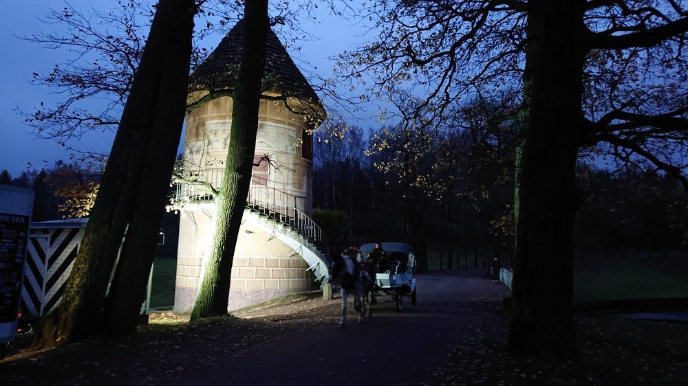 Photo #5254726