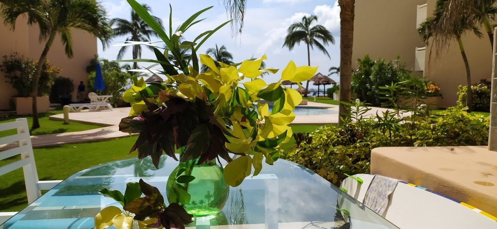 Photograph by Natalia Vishnyakova