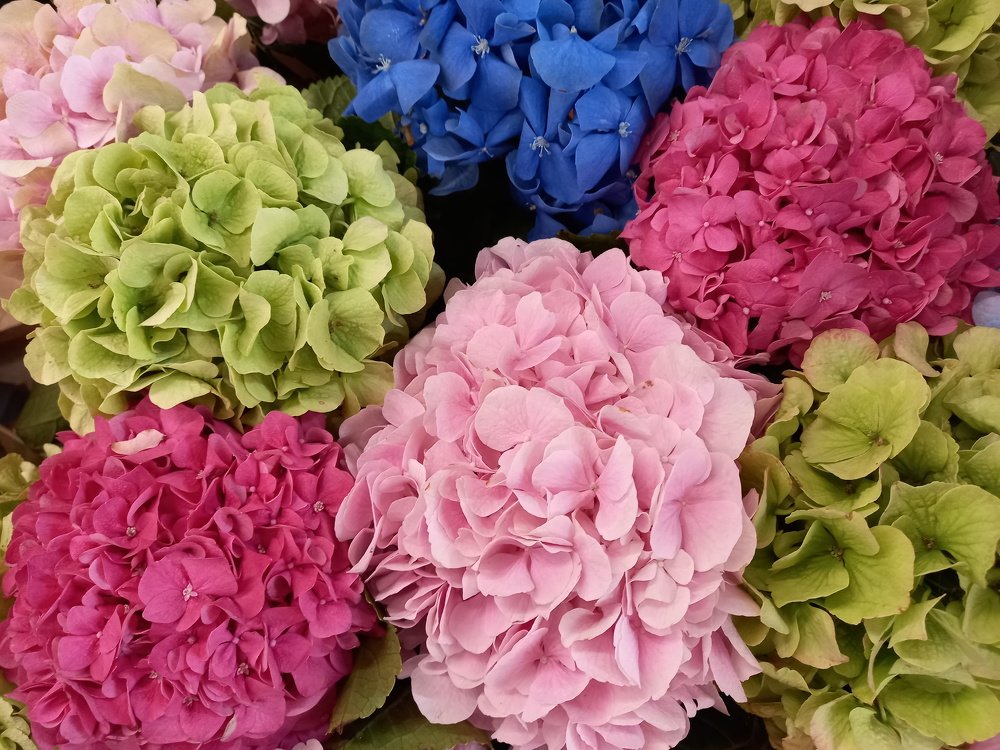 Photograph by Natalia Vishnyakova