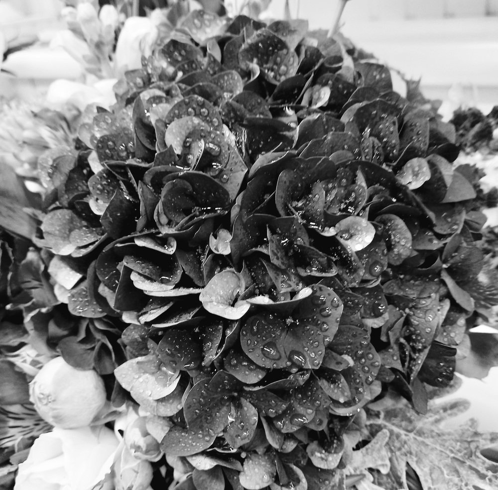 Photograph by Natalia Vishnyakova