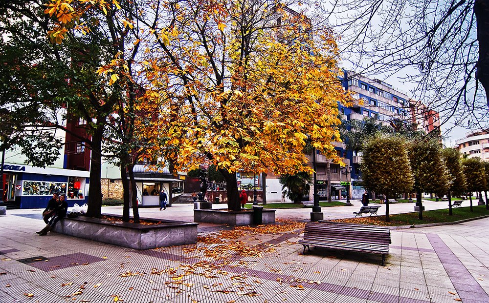 Oviedo otoñal
