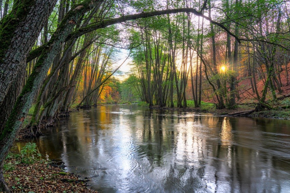 The Drawa River in its autumn form.