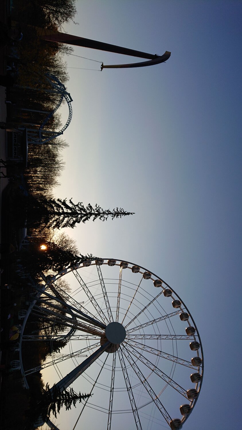 Photo #5254887