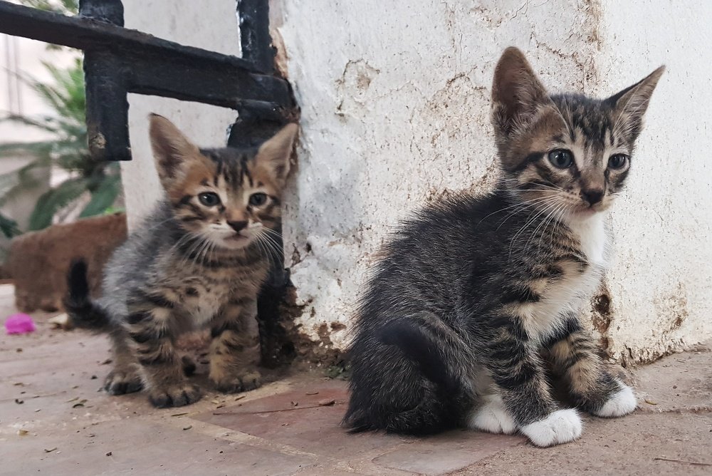 Photograph by Marcin Sokolowski - maarew