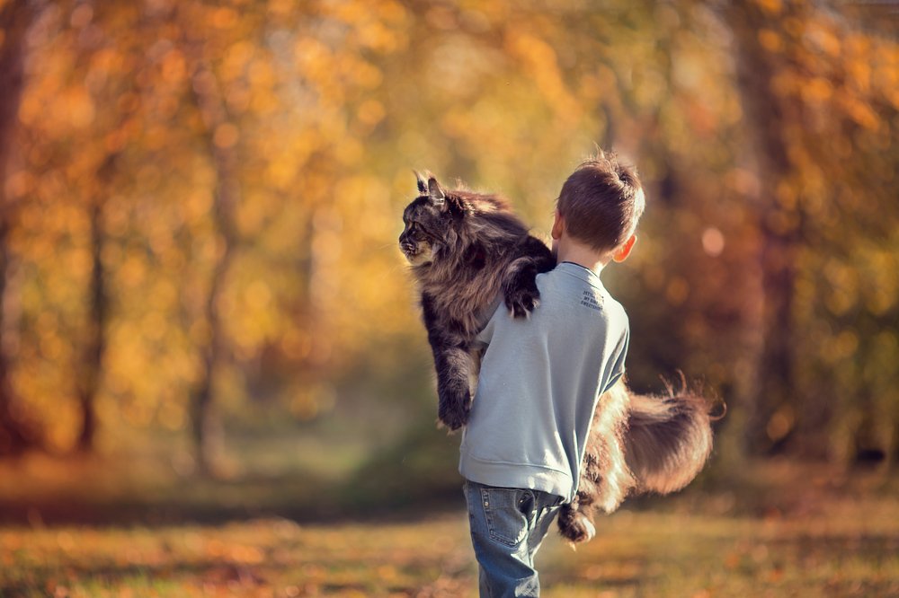 Photograph by Екатерина Годова