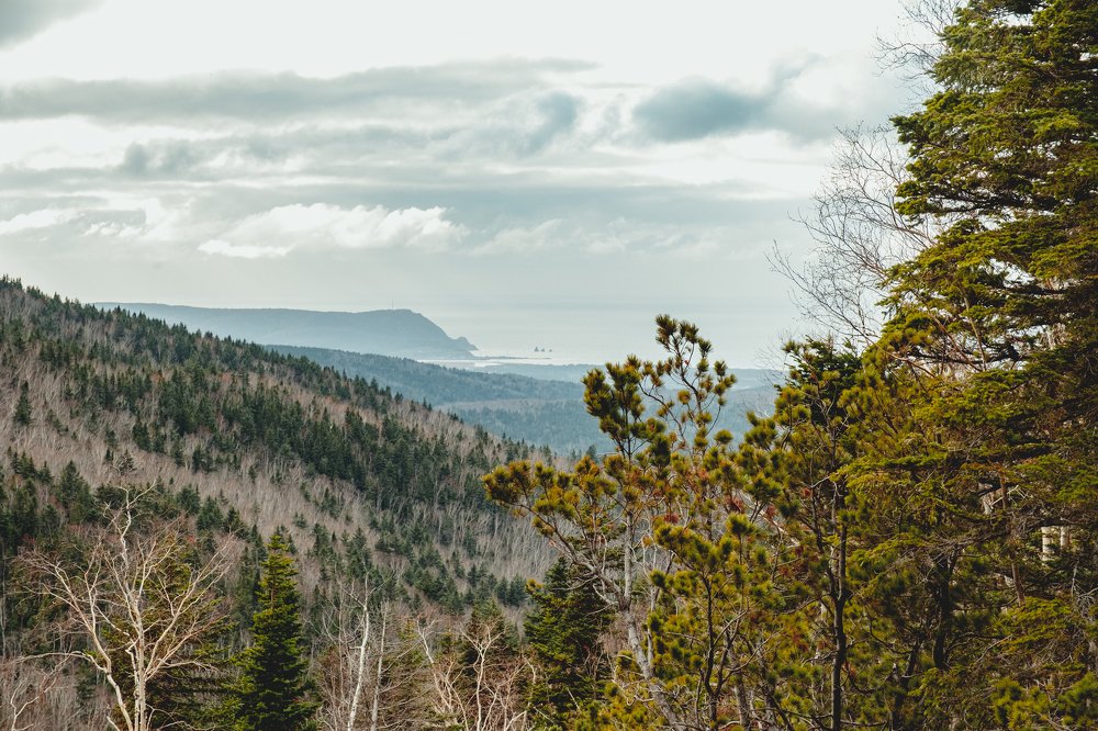 Photograph by Максим Трухин