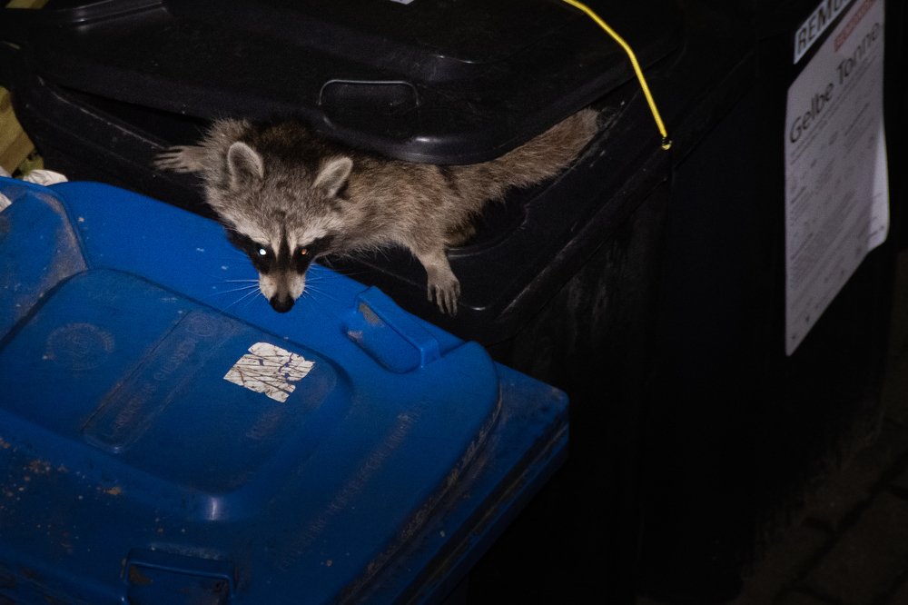 Photograph by Сергей Нагель-Синегубов