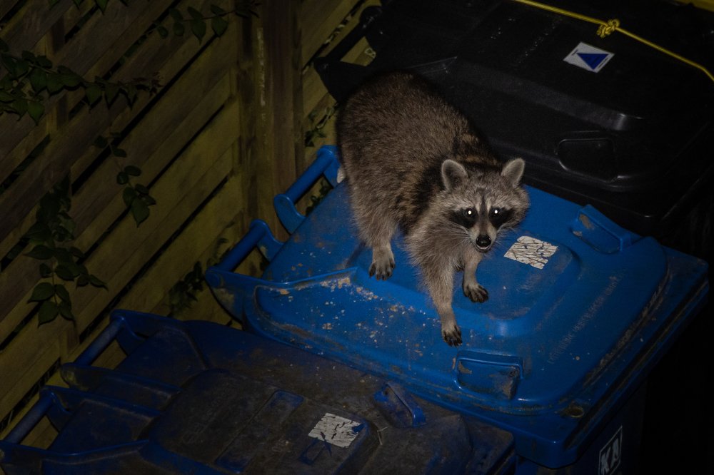 Photograph by Сергей Нагель-Синегубов