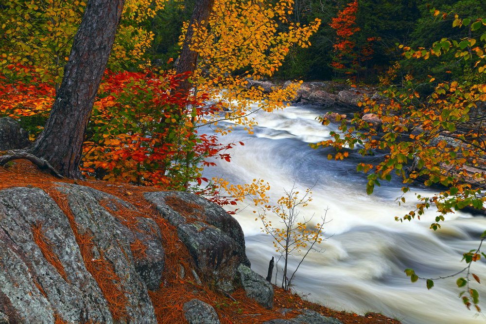 Photograph by Roman Barisev