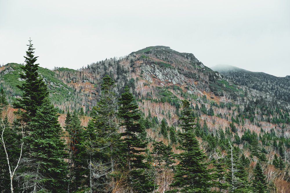 Photograph by Максим Трухин