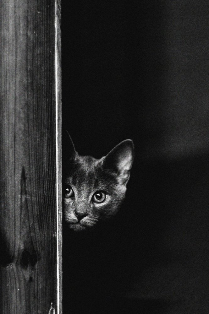 Photograph by Анна-Романа