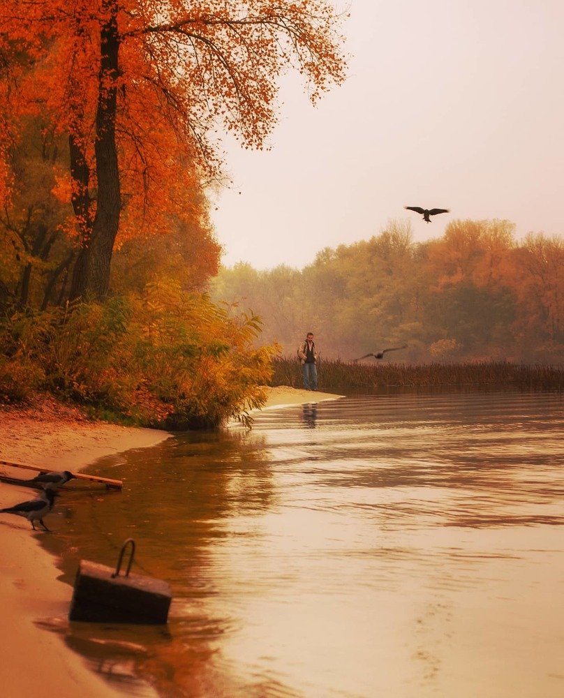 Photograph by Анна-Романа