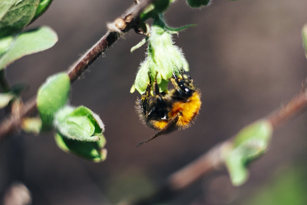 Photograph by Evgeniya Gribova