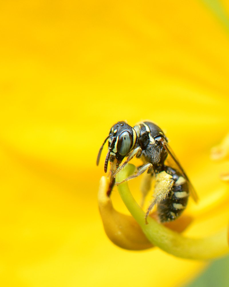 Photograph by Benjamine Dharashan