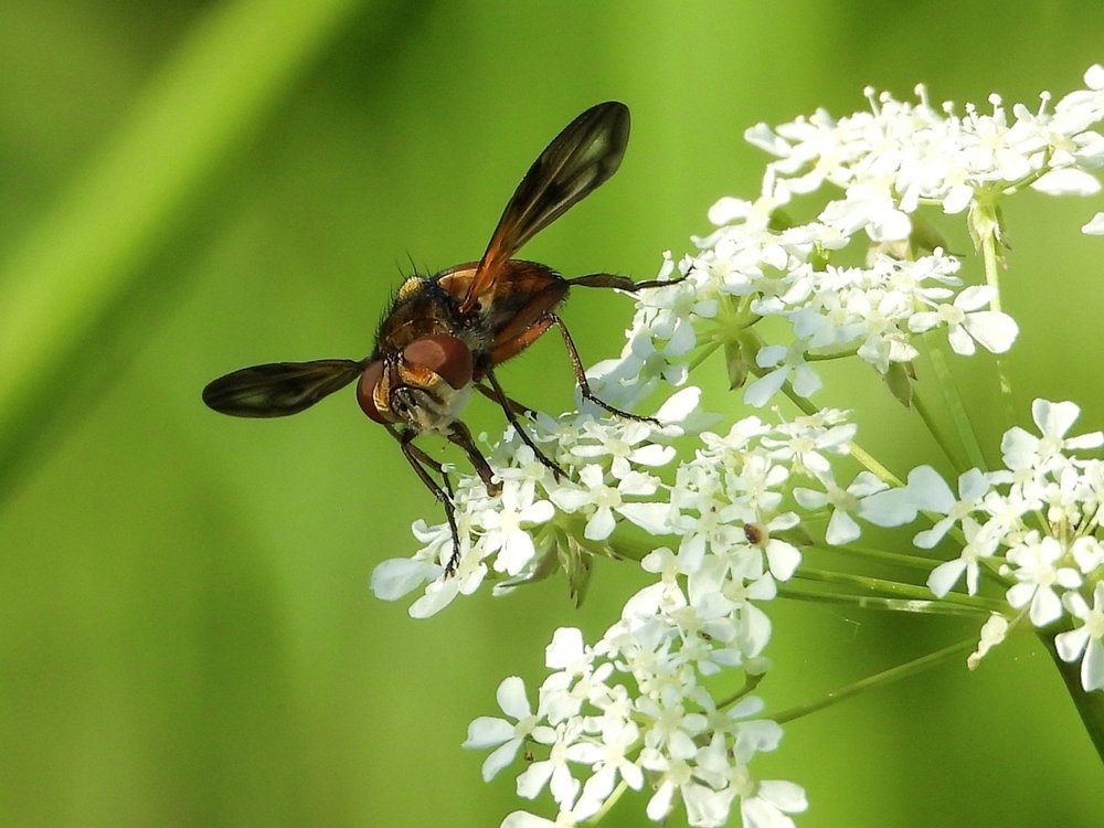 Photograph by Владимир Анатольевич Соколов