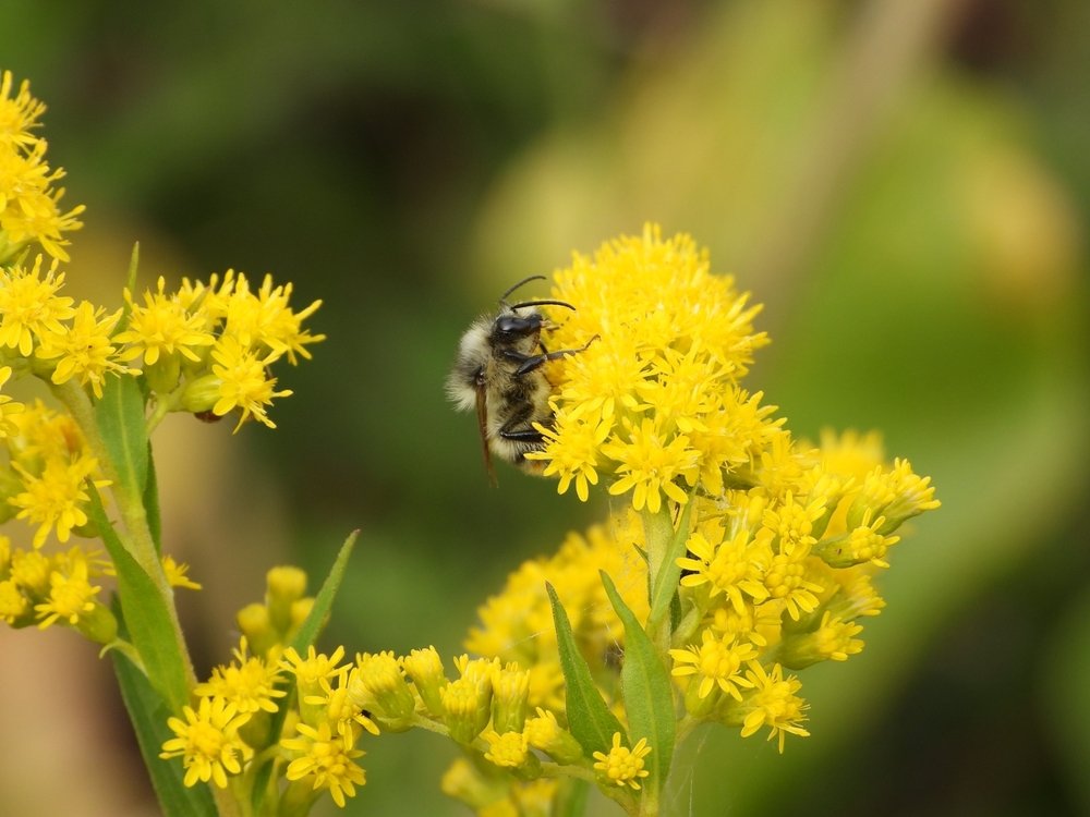 Photograph by Владимир Анатольевич Соколов