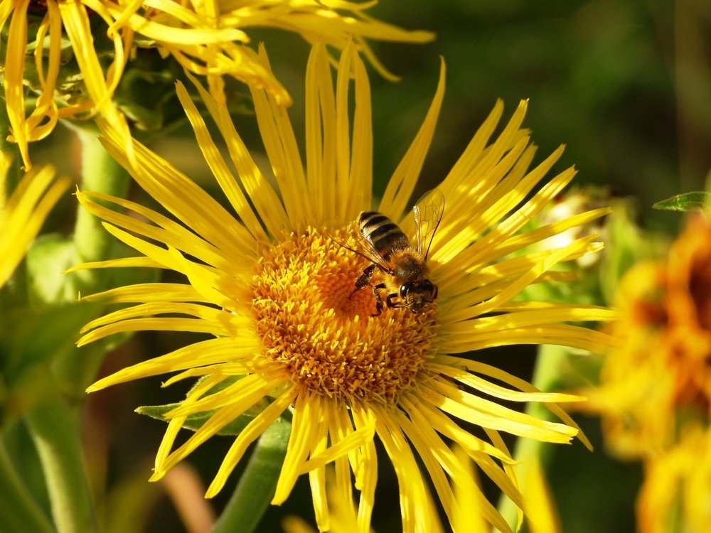 Photograph by Владимир Анатольевич Соколов