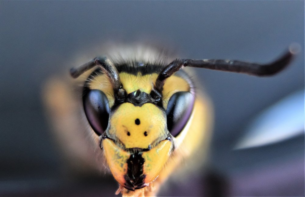 Photograph by Constantin Lazar