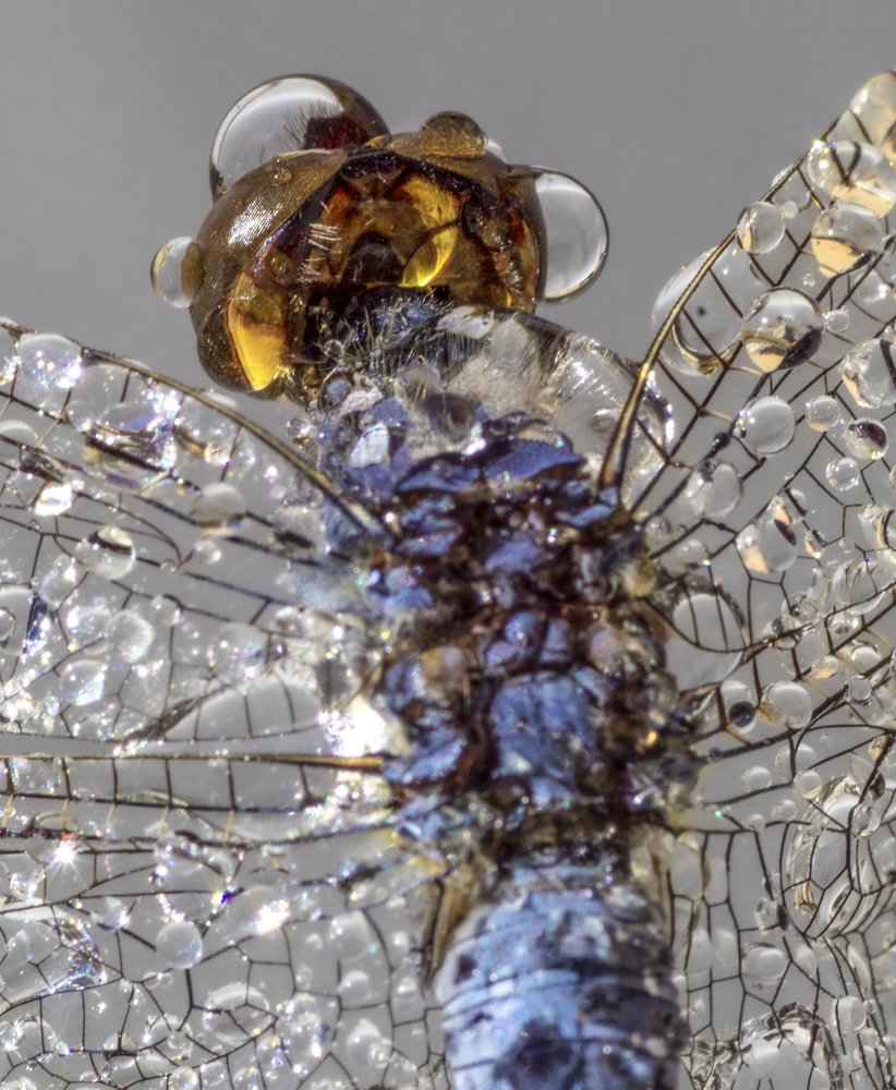 Photograph by Constantin Lazar