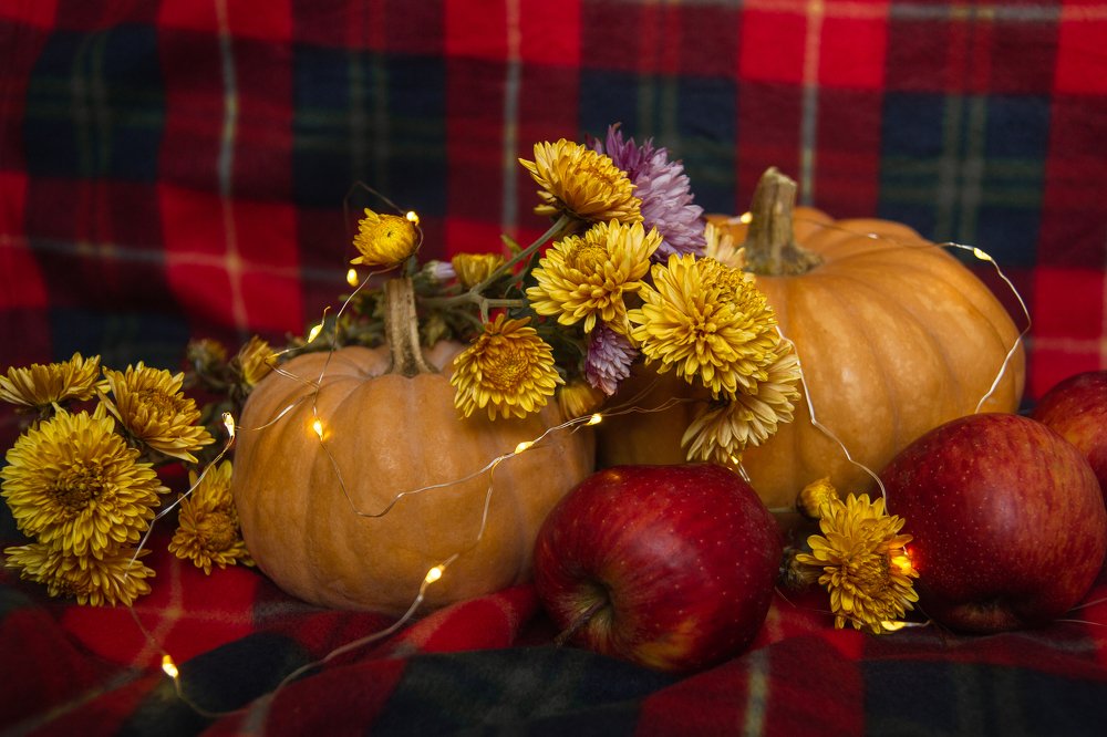 Photograph by Татьяна Москаленко