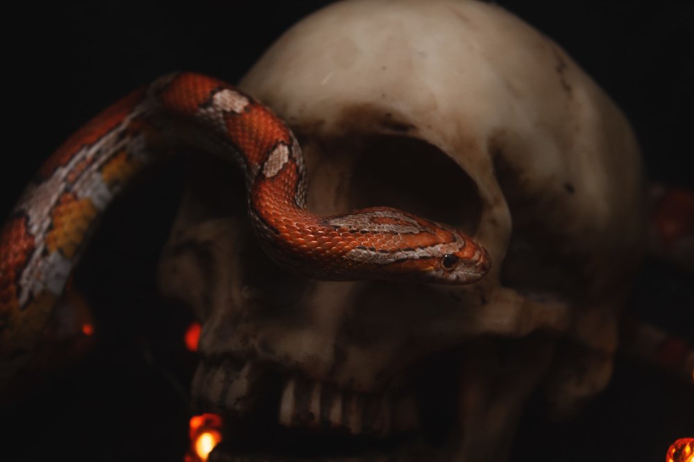 Photograph by Ольга Сельницына